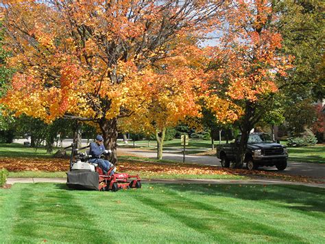 Fall lawn treatment. Things To Know About Fall lawn treatment. 